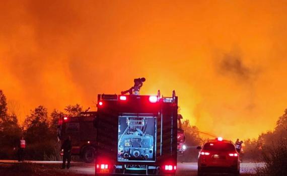 עשרות דונמים של תמרים נשרפו סמוך לקיבוץ דליה