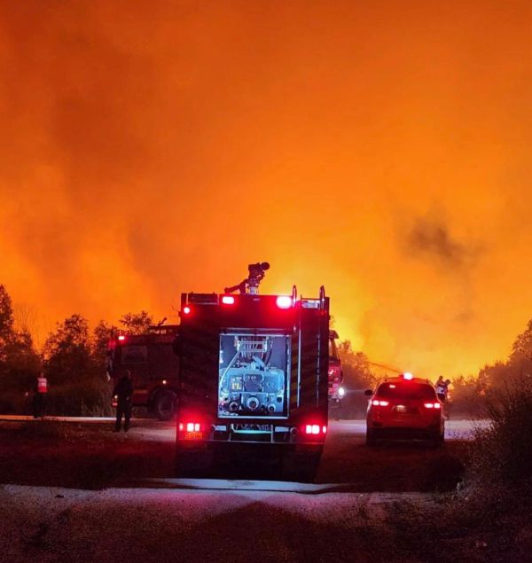 עשרות דונמים של תמרים נשרפו סמוך לקיבוץ דליה