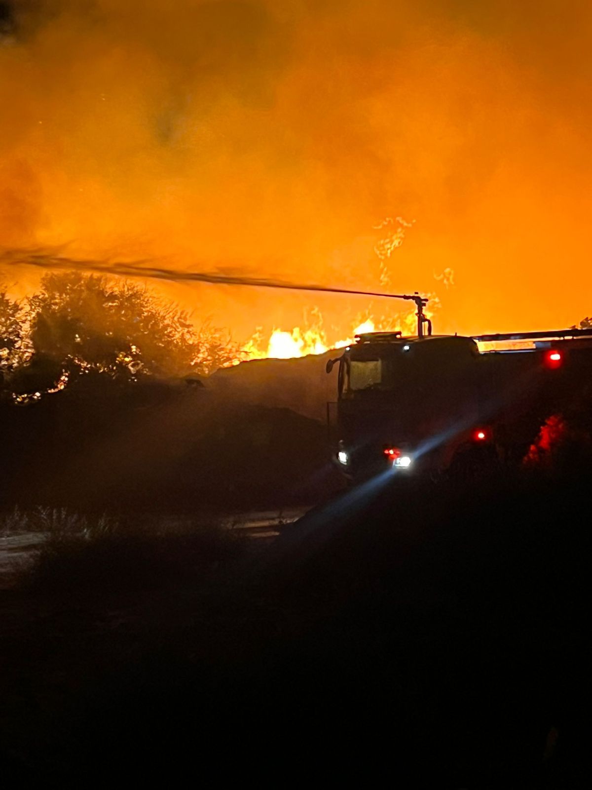 השריפה בקליה מתפשטת: כביש 90 נסגר לתנועה