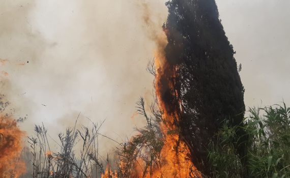 השריפה מתפשטת: רכבות הופסקו, תושבים פונו
