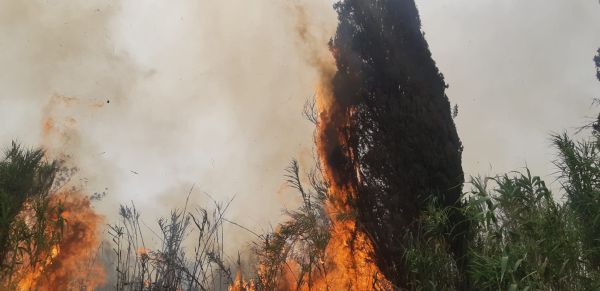 השריפה מתפשטת: רכבות הופסקו, תושבים פונו