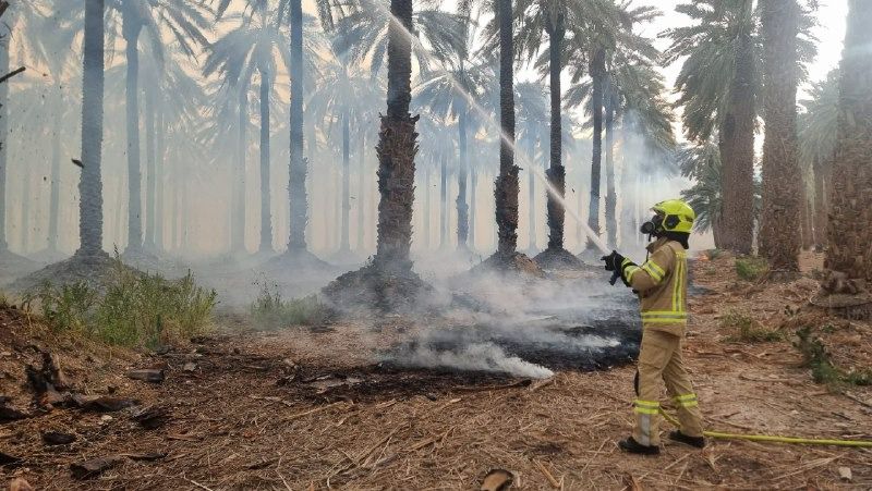 השריפה בקליה: עדיין לא הושגה שליטה על האש