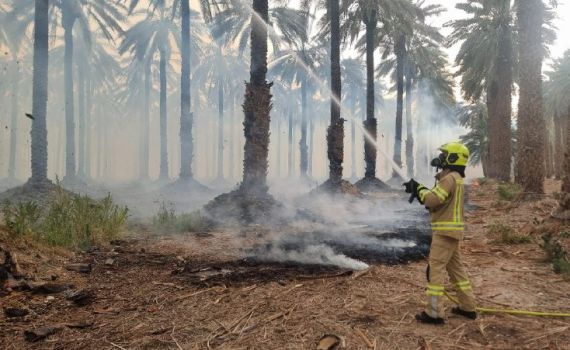 השריפה בקליה: עדיין לא הושגה שליטה על האש