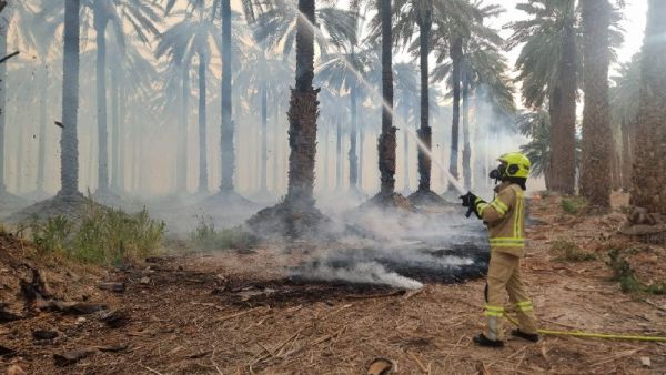 השריפה בקליה: עדיין לא הושגה שליטה על האש