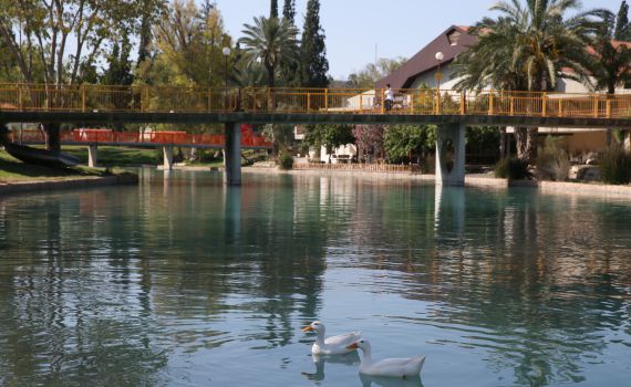 המוחים נגד ההסדר: "סכנה עתידית למשאבי הטבע"