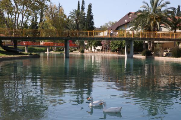 המוחים נגד ההסדר: "סכנה עתידית למשאבי הטבע"