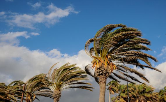 אובך וסופות חול; בסופ"ש – מהפך: תחזית מזג אוויר