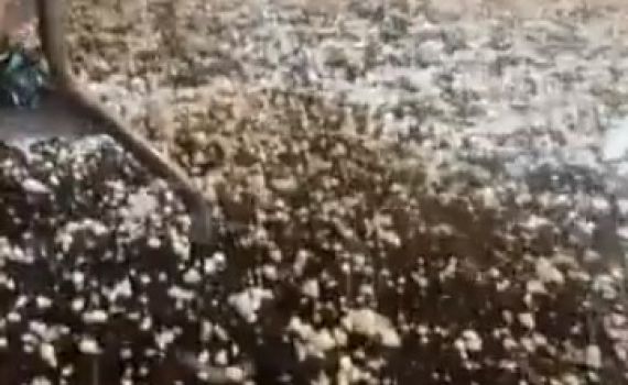 במהלך הופעה: עשרות פצועים מסופת ברד בארה"ב