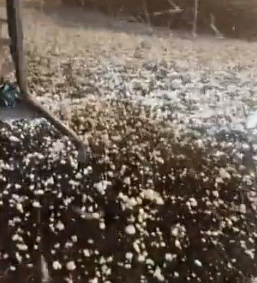 במהלך הופעה: עשרות פצועים מסופת ברד בארה"ב