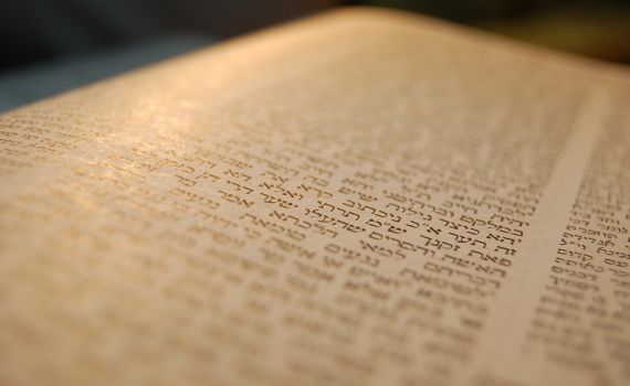 בעזרת התלמוד: הדרך להתמודד עם אתגרי המאה ה-21