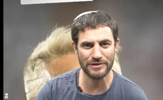 אצילי חותם, גפן מחלקת ירושה: קצר בתקשורת #17