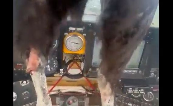 צפו: ציפור התרסקה לתוך הקוקפיט. הטייס נחת בשלום