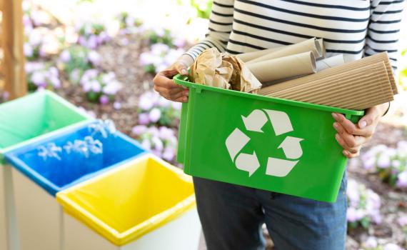 הלמ"ס מפרסמת: כמה הישראלים שומרים על איכות הסביבה?