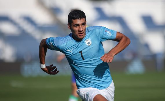 לילה היסטורי: צפו בתקציר המשחק של ישראל וברזיל