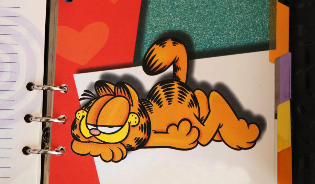 לא רק לזניה: 10 דברים שלא ידעתם על גארפילד החתול הכתום