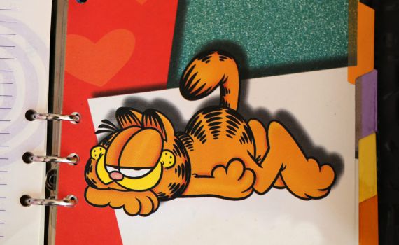 לא רק לזניה: 10 דברים שלא ידעתם על גארפילד החתול הכתום