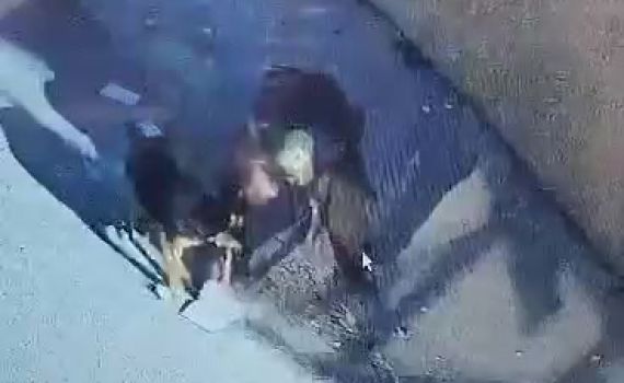 צפו: פורצים למסגד גונבים ספר קוראן וקורעים אותו