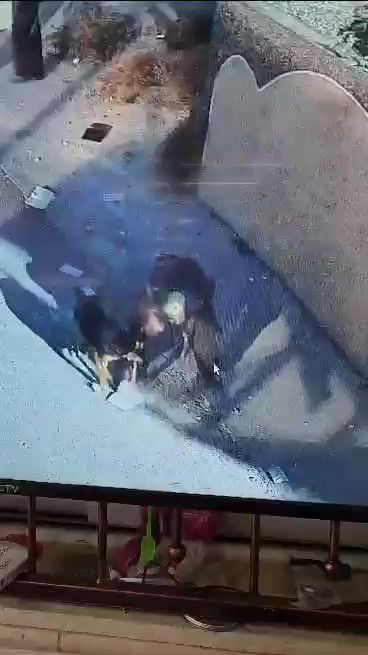 צפו: פורצים למסגד גונבים ספר קוראן וקורעים אותו