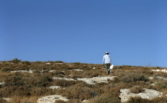 ממשלת ימין? 2 נערי גבעות נעצרו במאחז בבנימין