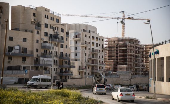 "אכזריות וחוסר רחמים": הפרשה שמטלטלת את בית שמש