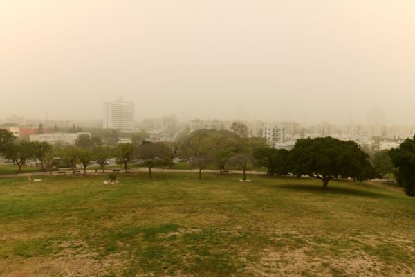 סופות חול; גשם, רעמים ושטפונות: תחזית מזג אוויר