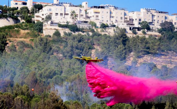 שריפה פרצה בעין לבן: גן החיות התנ"כי פונה