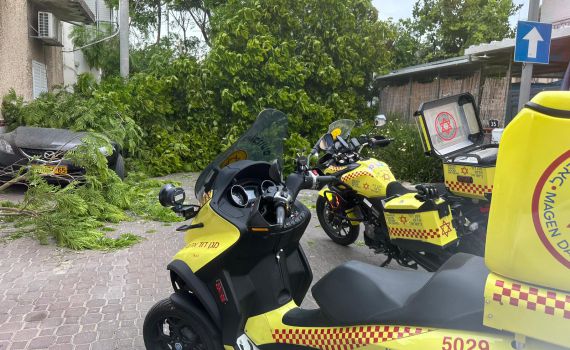 עץ קרס בתל אביב, גבר בן 68 נפצע באורח קל