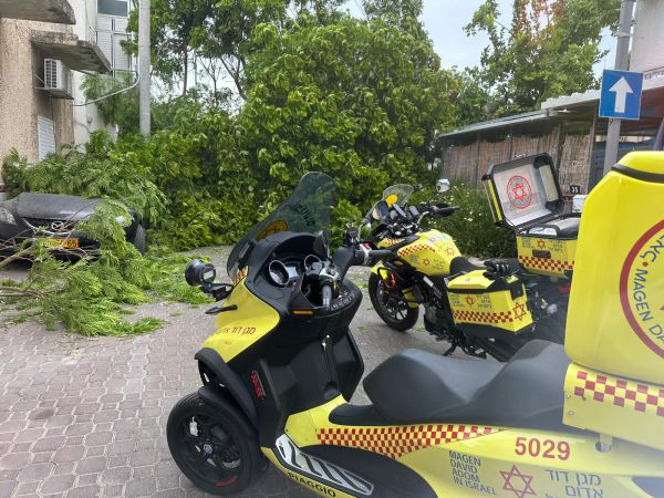 עץ קרס בתל אביב, גבר בן 68 נפצע באורח קל