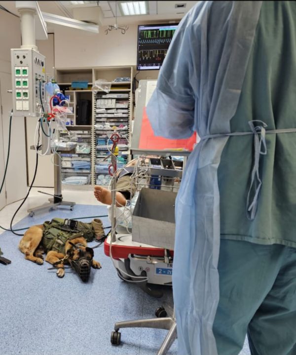 מרגש: אחרי הפציעה – הכלב הגיע לבקר את הלוחם