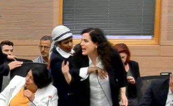 חברת הכנסת השתוללה בדיון: "בריון; אלים". צפו