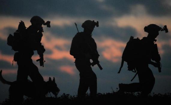 אירוע חריג: שב"כ סיכל ניסיון הברחת אמל"ח מירדן