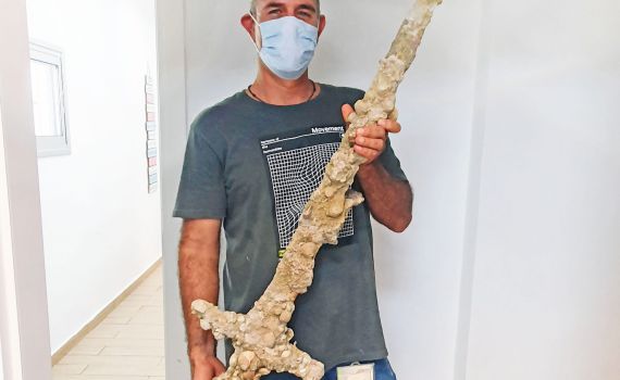 800 שנה אחורה? החרב שהתגלתה בחוף הכרמל