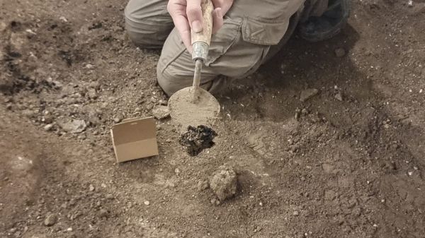 נחשפו עדויות לחורבן בית המקדש השני | תיעוד