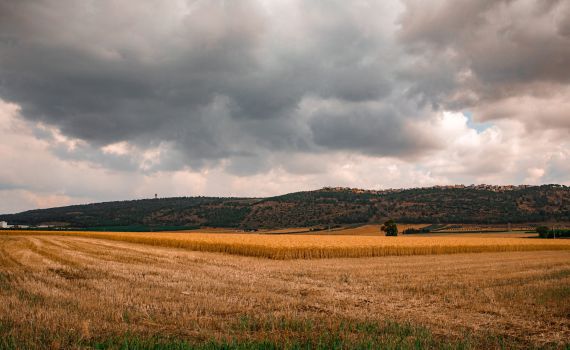 גרים בעמק יזרעאל? משרד הבריאות בהודעה לתושבים