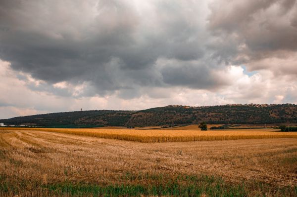 גרים בעמק יזרעאל? משרד הבריאות בהודעה לתושבים