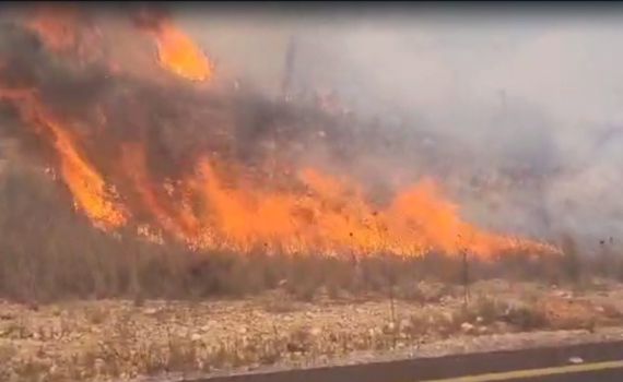 שריפה בהרי ירושלים: מטוסי כיבוי הוזנקו וכבישים נחסמו