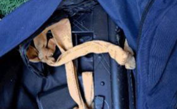 נעצרה חוליית הטרור שביצעה פיגועי ירי בבנימין