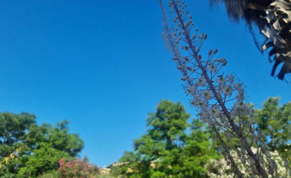 סימנים ראשונים: תחזית מזג אוויר לימים הקרובים