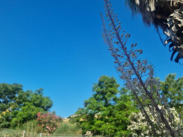 סימנים ראשונים: תחזית מזג אוויר לימים הקרובים