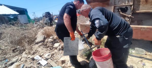 'הוחזקו בתנאים קשים': התעללו בגורי כלבים ונתפסו