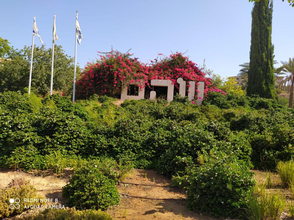 קרב משולש: נפתח המירוץ לראשות מועצת שוהם