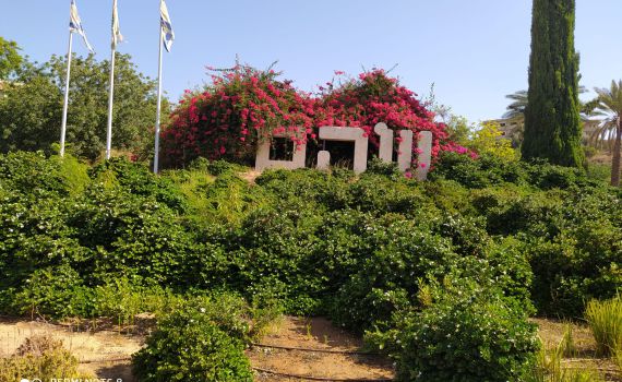 קרב משולש: נפתח המירוץ לראשות מועצת שוהם