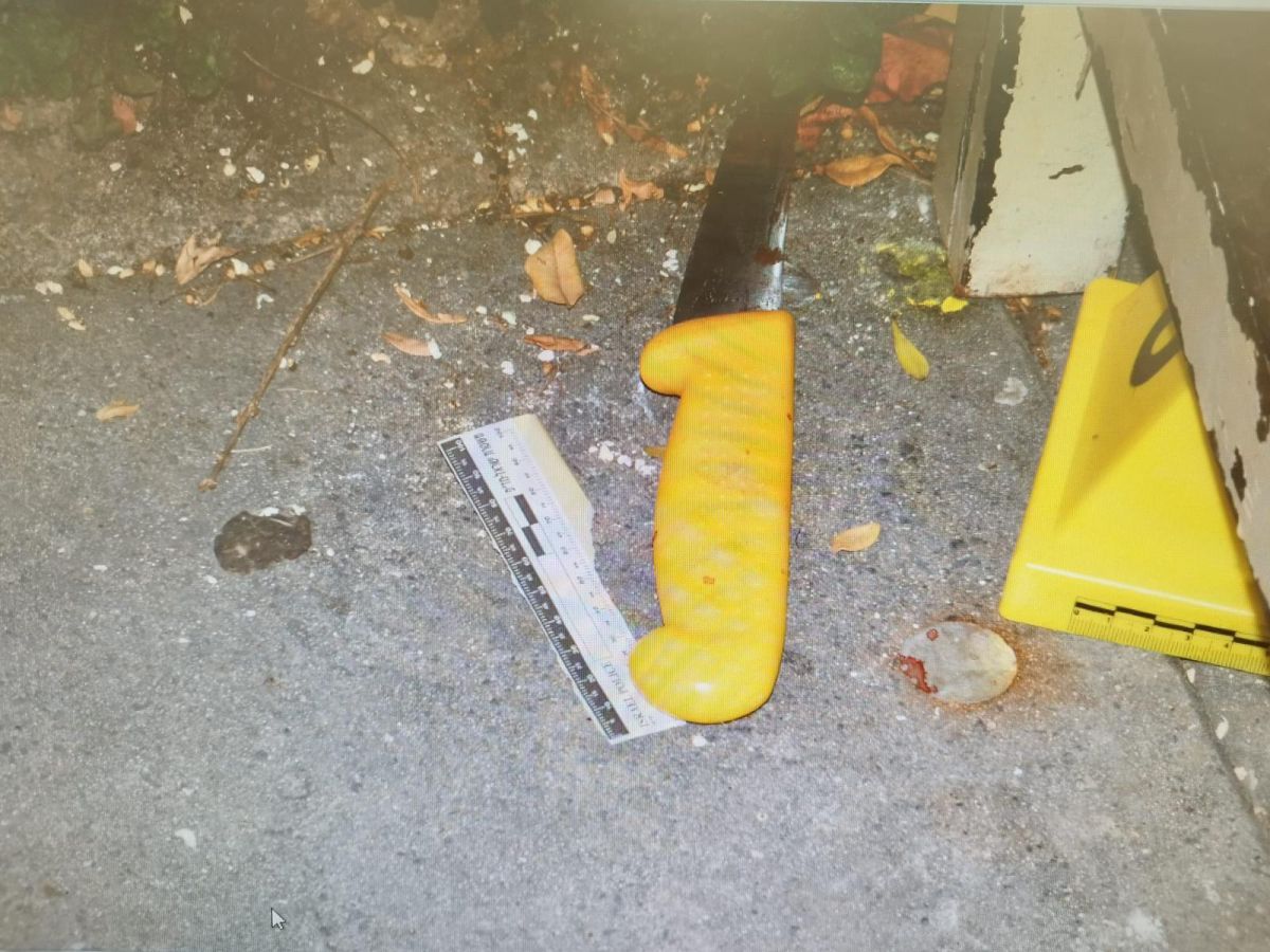 נעצרו המחבלים מהפיגוע בגילה: הגיעו רגלית מהכפר