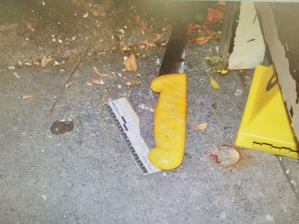 נעצרו המחבלים מהפיגוע בגילה: הגיעו רגלית מהכפר