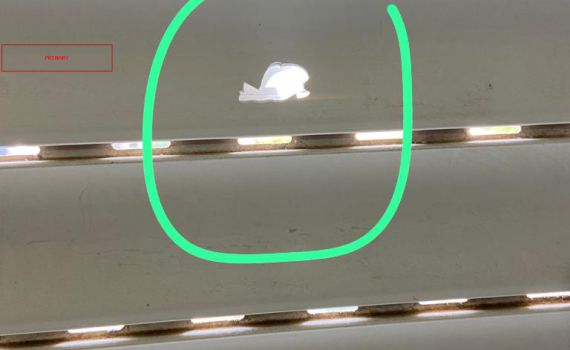 כמעט אסון: קליע חדר לחדר השינה בפסגת זאב