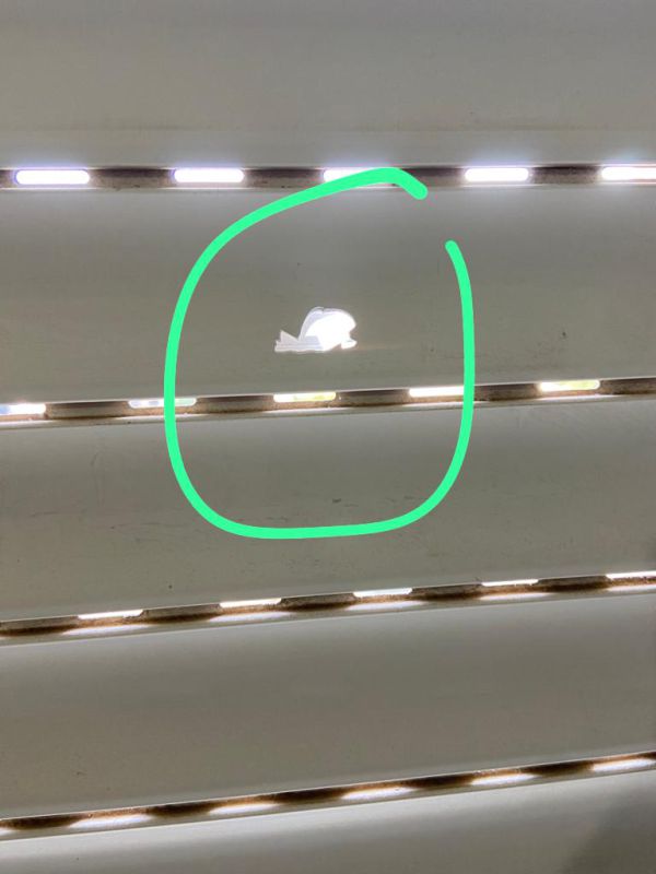 כמעט אסון: קליע חדר לחדר השינה בפסגת זאב