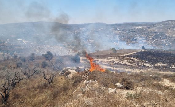 שריפה משתוללת במורדות הישוב יצהר