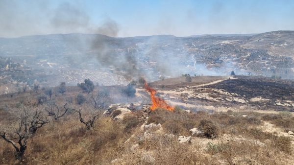 שריפה משתוללת במורדות הישוב יצהר