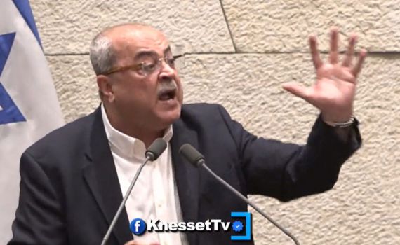 טיבי תקף את הח"כית: 'תנאמי בגרמנית'. צפו