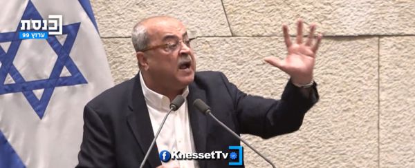 טיבי תקף את הח"כית: 'תנאמי בגרמנית'. צפו